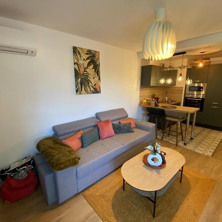 Apartament Le Jungle : T2 Avec Jardin Et Jacuzzi Blagnac Zewnętrze zdjęcie