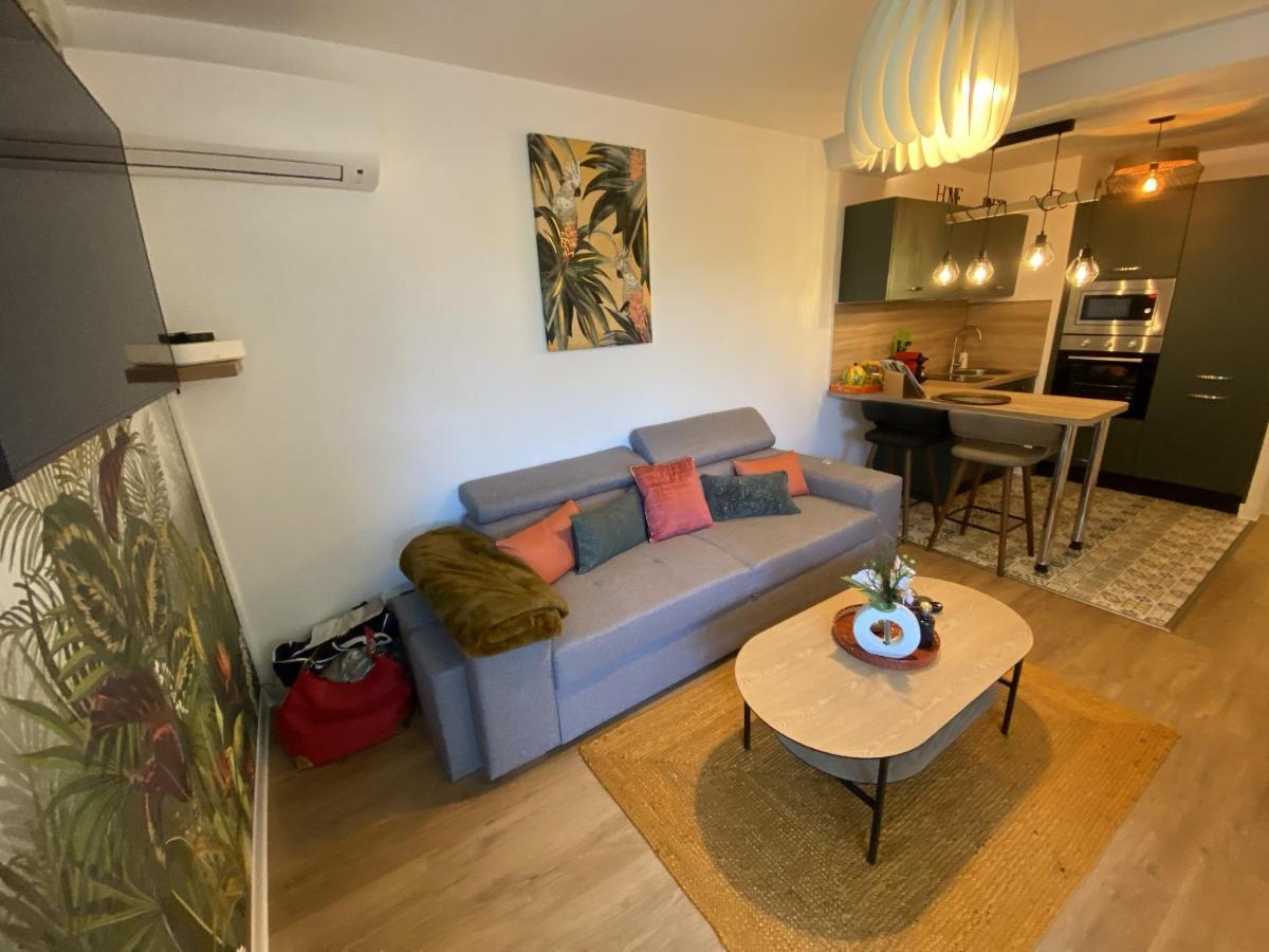 Apartament Le Jungle : T2 Avec Jardin Et Jacuzzi Blagnac Zewnętrze zdjęcie