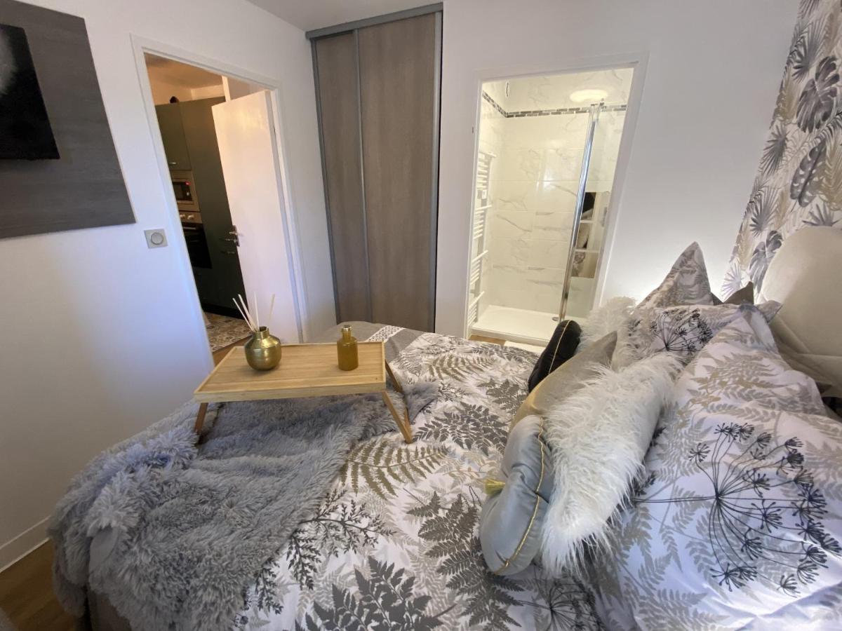 Apartament Le Jungle : T2 Avec Jardin Et Jacuzzi Blagnac Zewnętrze zdjęcie